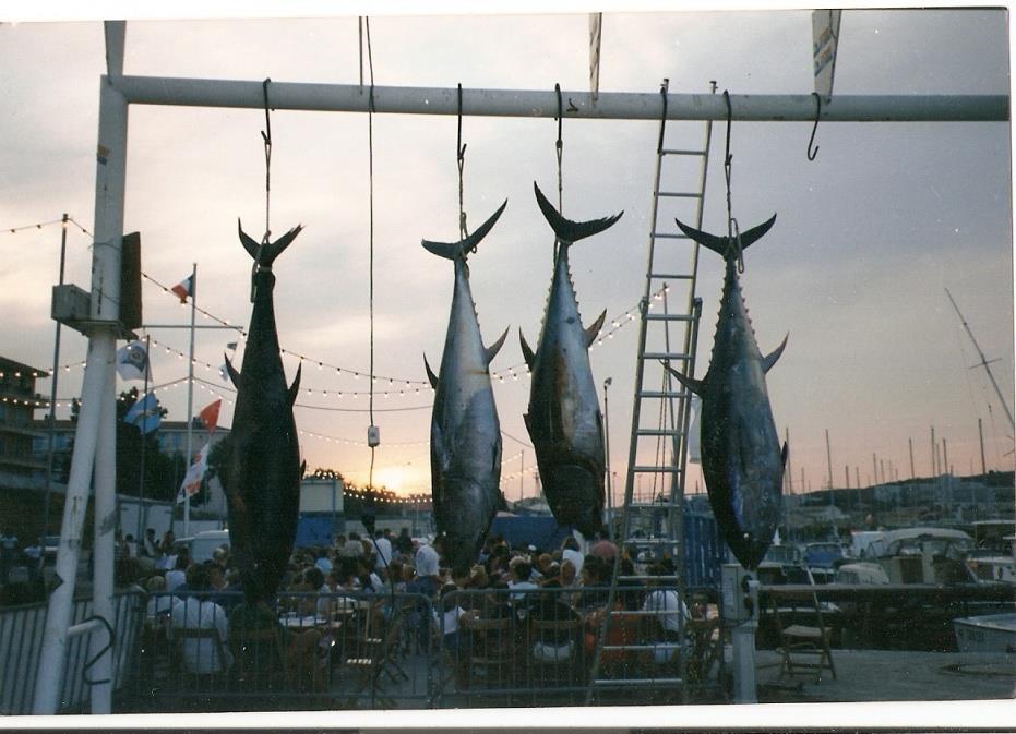 Portique du club nautique de Martigues